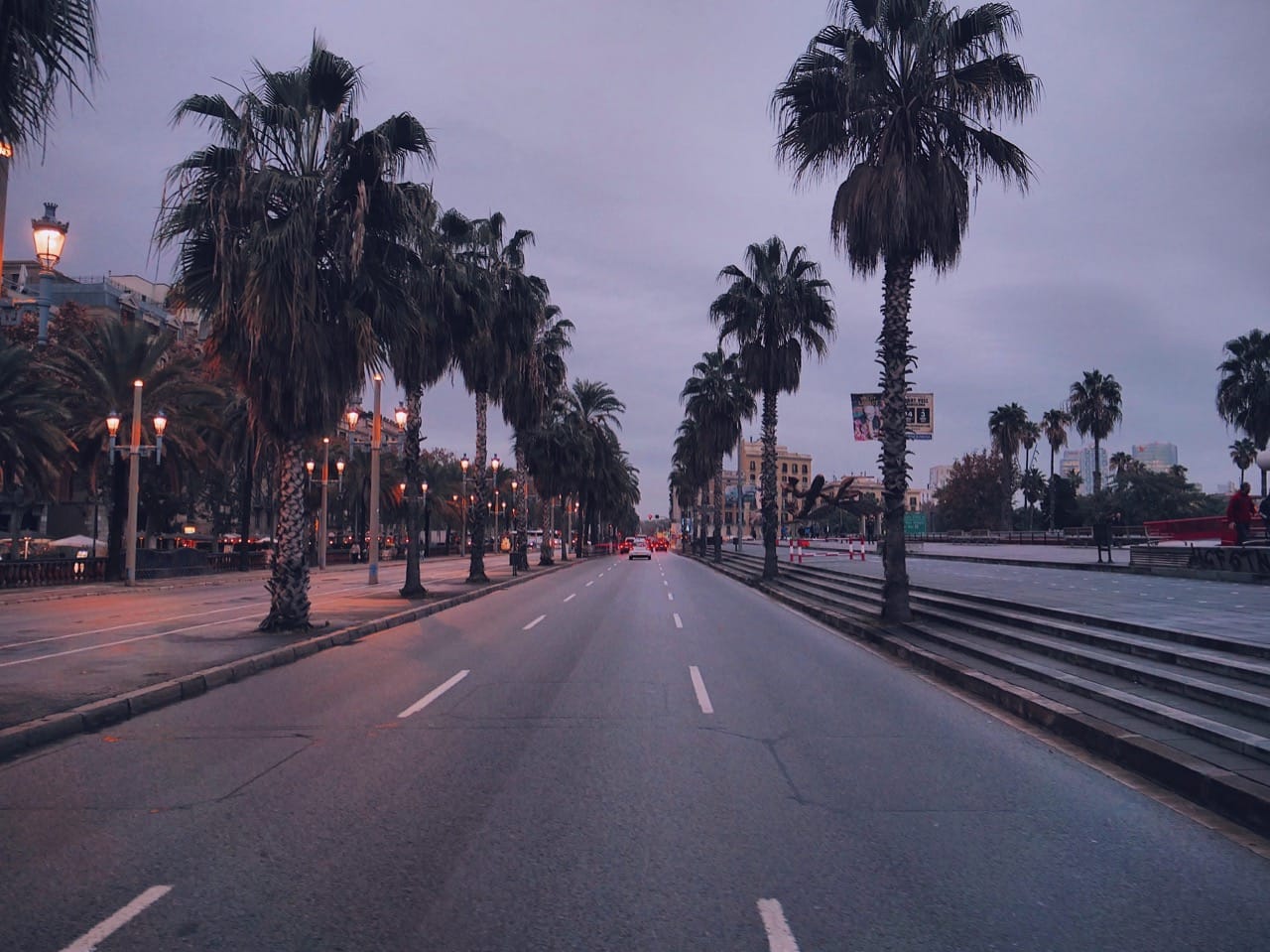 facing across the city street with palm trees in the evening